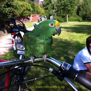 Lora auf dem Fahrrad