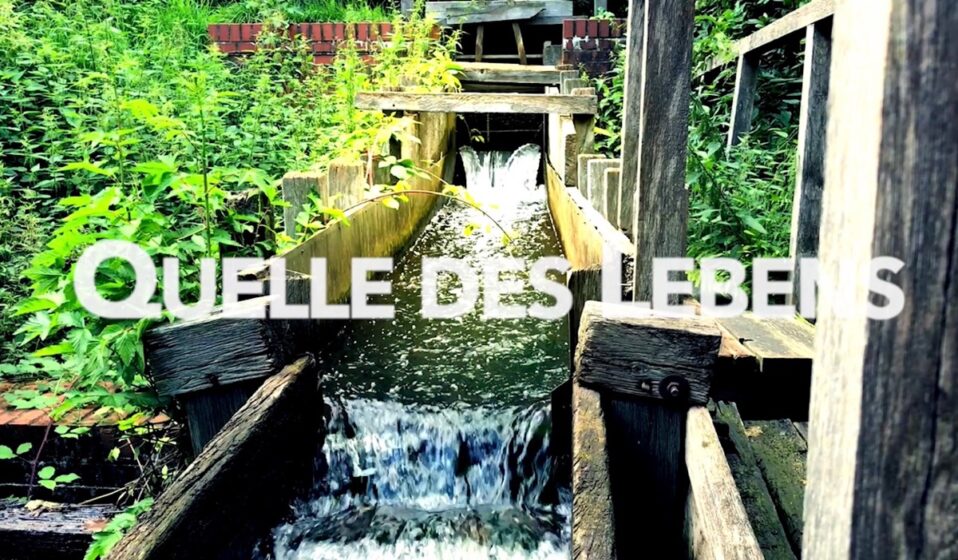 Quelle des Lebens Heavenly Calling